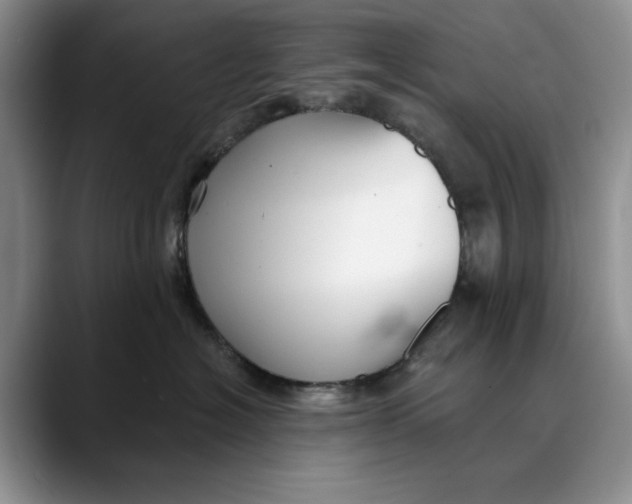 X0000088410574200706121417