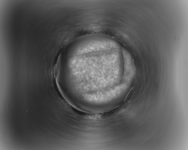 X0000088410576200706121417