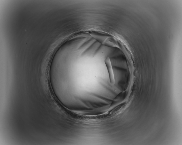 X0000088410577200706121416