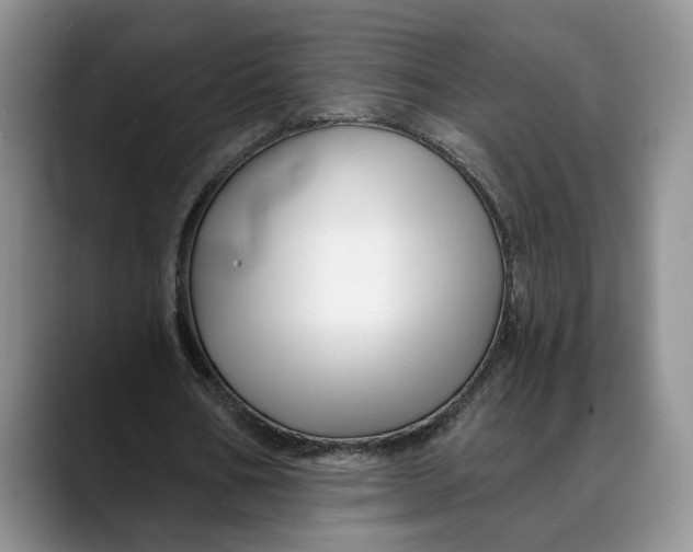 X0000088410578200706121416