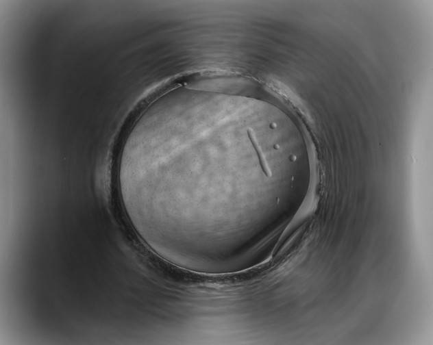 X0000088410580200706121416