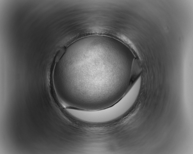 X0000088410581200706121416