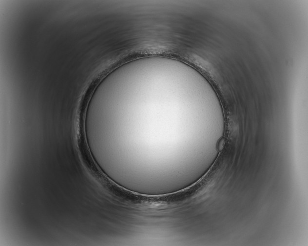 X0000088410582200706121416