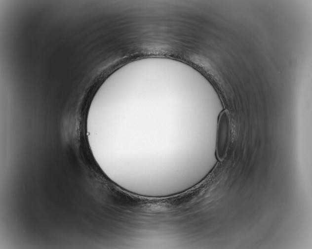 X0000088410583200706121416