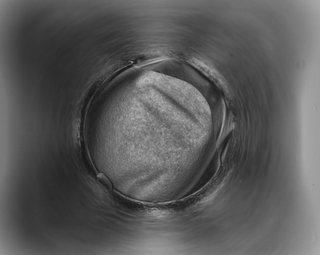 X0000088410585200706121416