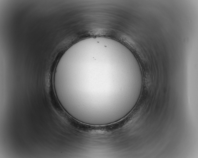 X0000088410586200706121416