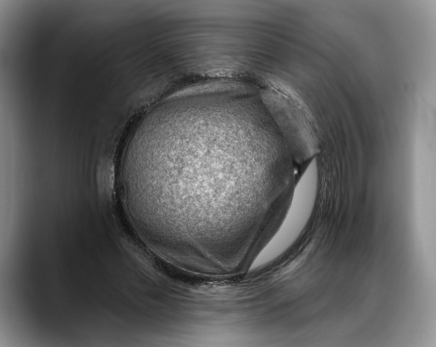 X0000088410589200706121416