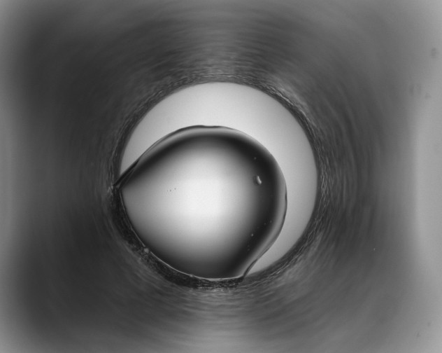 X0000088410593200706121416