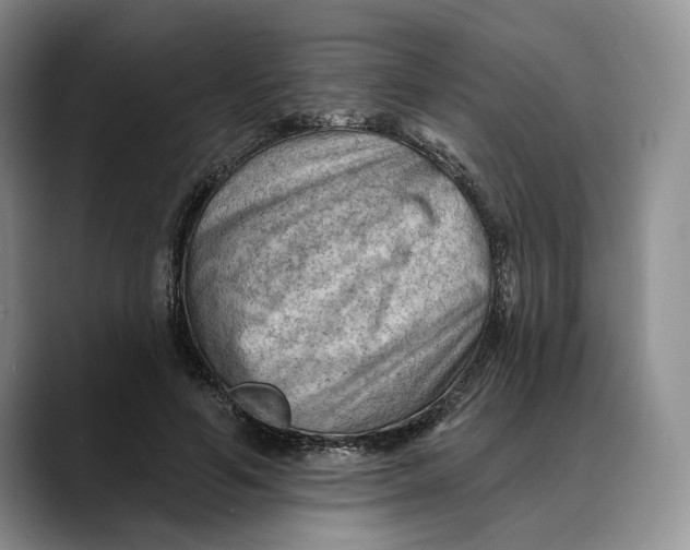 X0000088410594200706121416