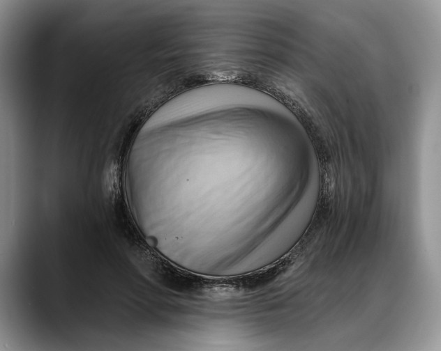 X0000088410598200706121416