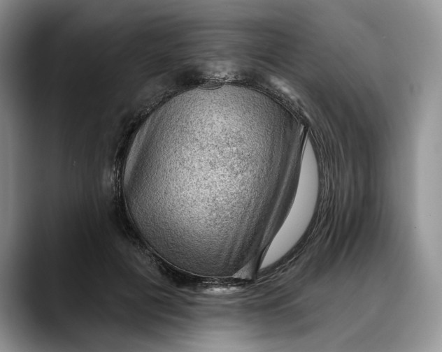 X0000088410601200706121416