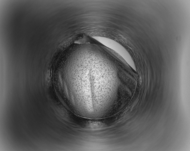 X0000088410605200706121416