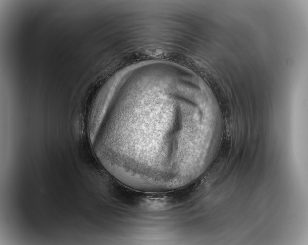 X0000088410606200706121416