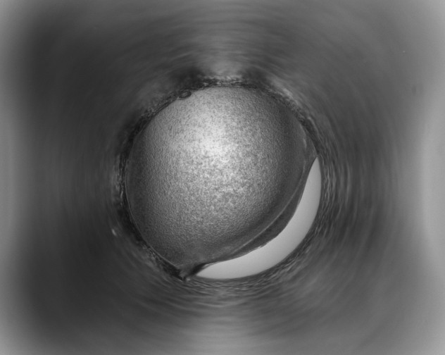 X0000088410609200706121416