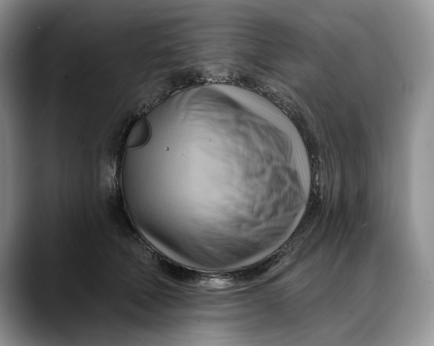 X0000088410610200706121416