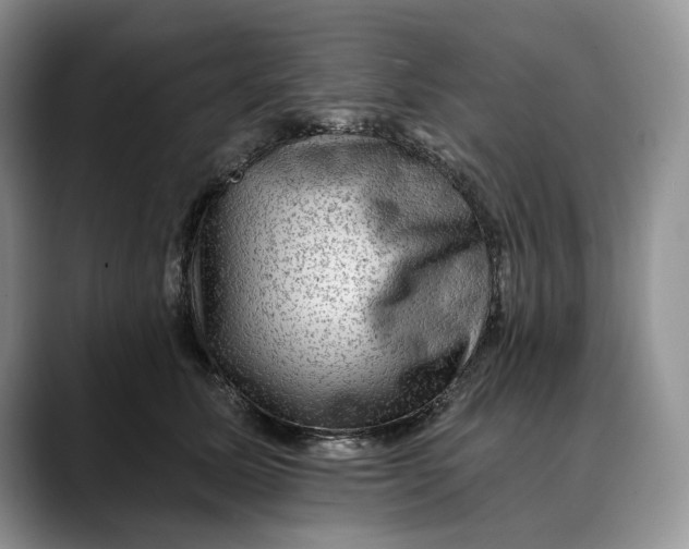 X0000088410611200706121416