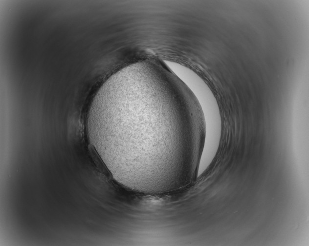 X0000088410613200706121416