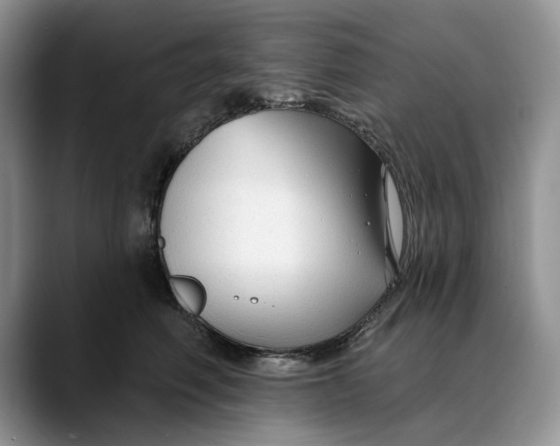 X0000088410614200706121416