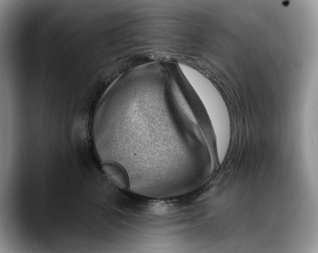 X0000088410616200706121416