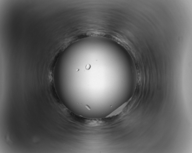 X0000088410621200706121415