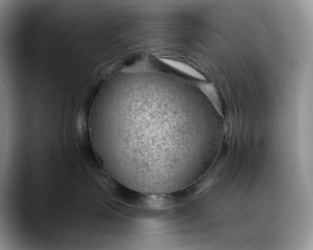 X0000088410623200706121415