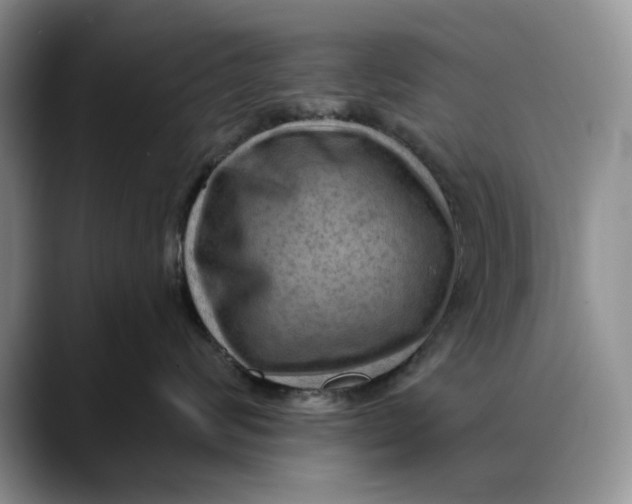 X0000088410624200706121415