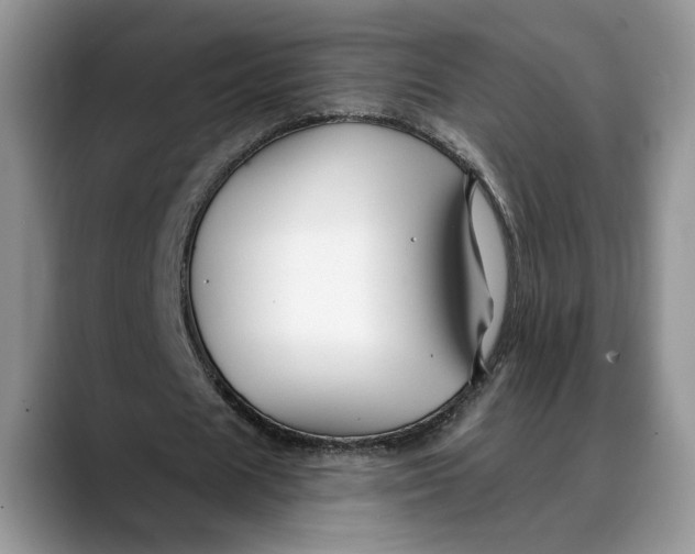 X0000088410625200706121415