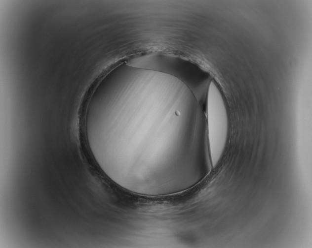 X0000088410626200706121415