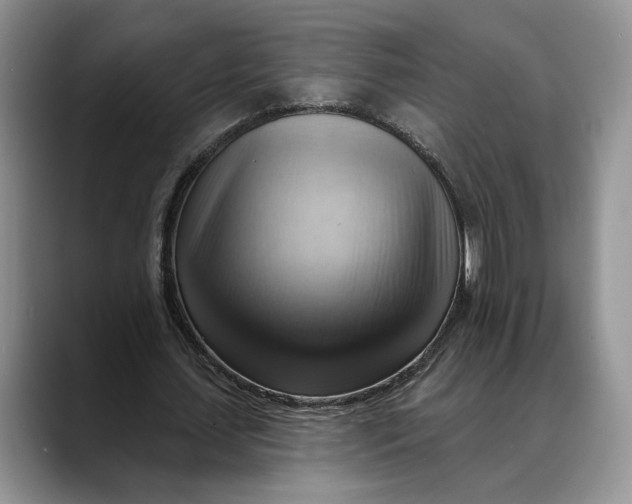 X0000088410627200706121415