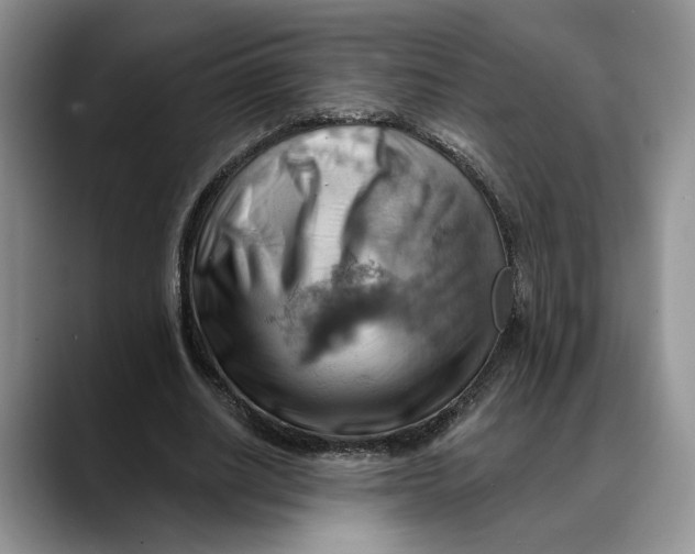 X0000088410630200706121415