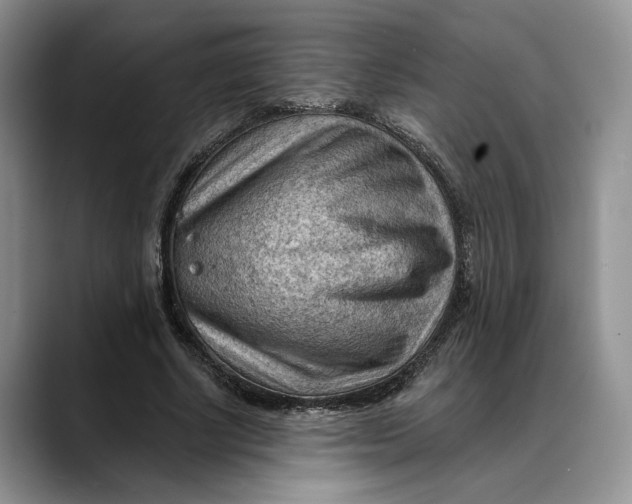 X0000088410634200706121415