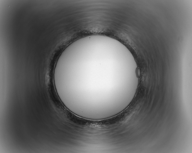 X0000088410635200706121415