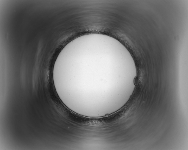 X0000088410636200706121415