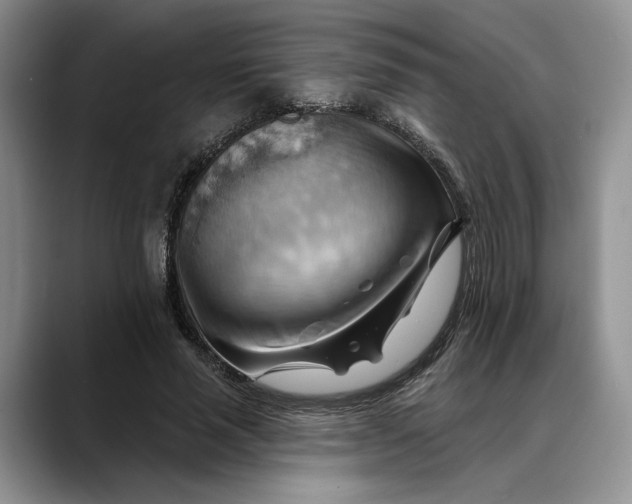 X0000088410637200706121415