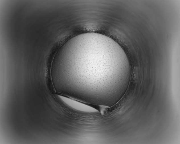 X0000088410639200706121415