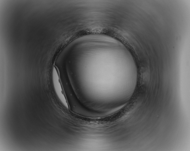 X0000088410641200706121415