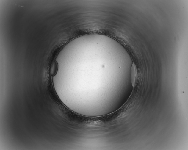 X0000088410642200706121415