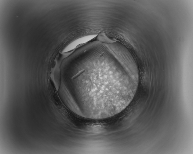 X0000088410643200706121415