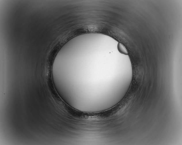 X0000088410645200706121415