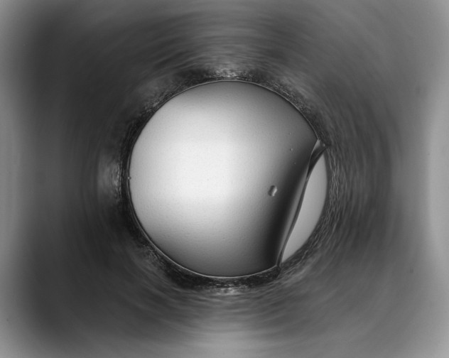 X0000088410646200706121415