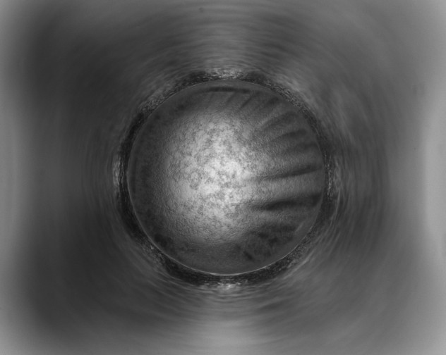 X0000088410647200706121415