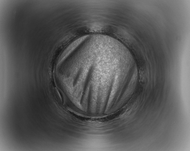 X0000088410648200706121415