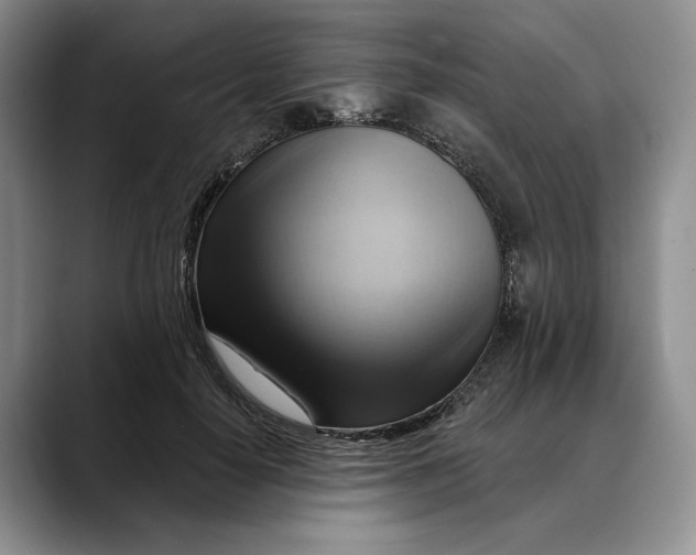 X0000088410650200706121415