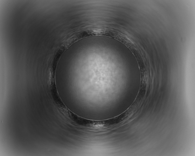 X0000088410651200706121415