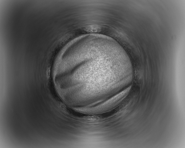 X0000088410652200706121415