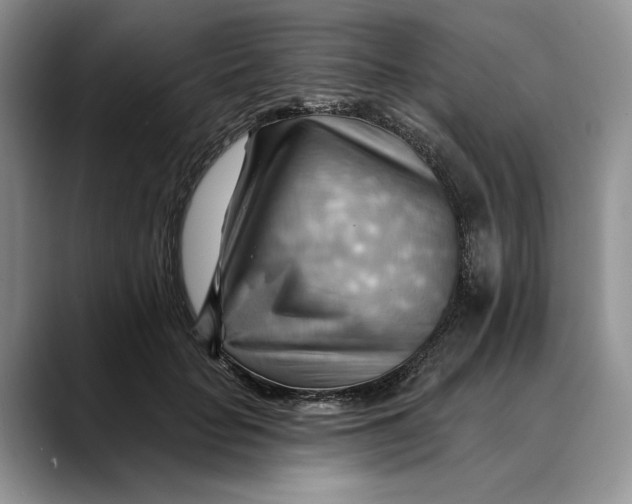 X0000088410653200706121415