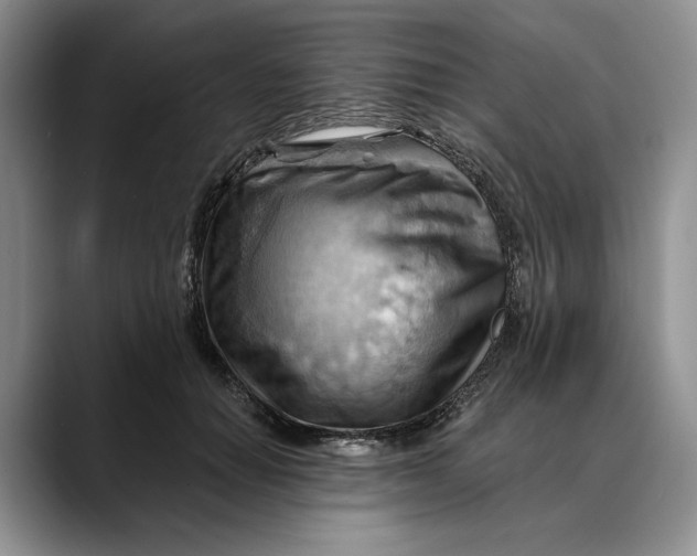 X0000088410654200706121415