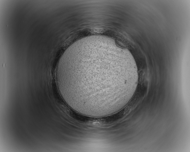 X0000088410655200706121415