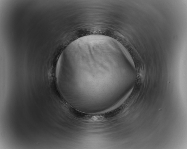 X0000088410663200706121415