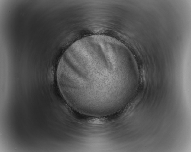 X0000088410664200706121415